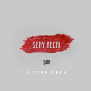 Album cover: A Vibe Dela