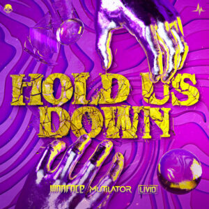 Album cover: Hold Us Down