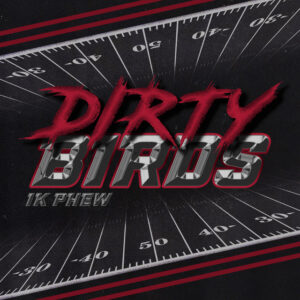 Album cover: Dirty Birds