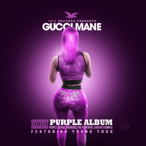 Album cover: The Purple Album