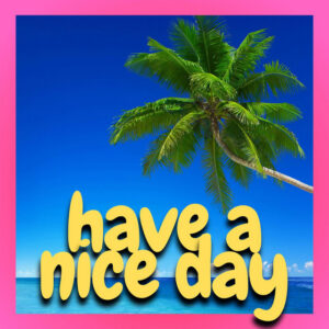 Album cover: have a nice day