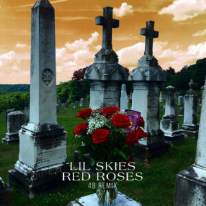 Album cover: Red Roses (4B Remix)