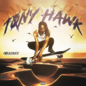 Album cover: Tony Hawk