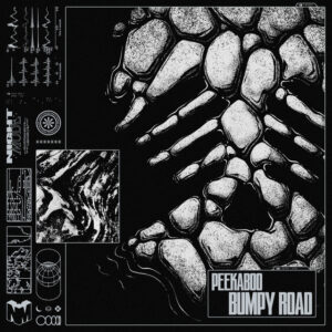 Album cover: Bumpy Road