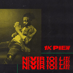 Album cover: Never Too Late