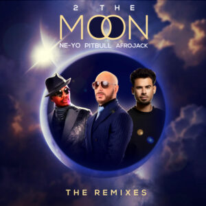 Album cover: 2 The Moon (The Remixes)