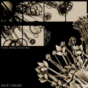 Album cover: BACK ONLINE