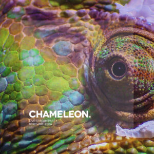 Album cover: Chameleon