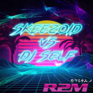 Album cover: Skeezoid VS Dj Self