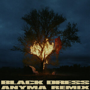 Album cover: Black Dress (Anyma Remix)