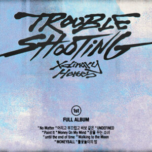 Album cover: Troubleshooting