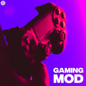 Album cover: GAMING MOD