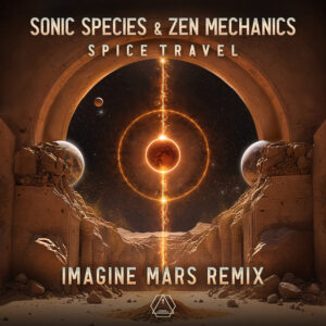 Album cover: Spice Travel (Imagine Mars Remix)