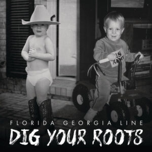 Album cover: Dig Your Roots