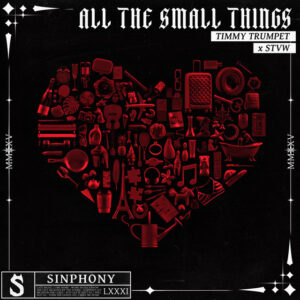 Album cover: All The Small Things