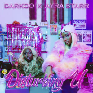 Album cover: Disturbing U