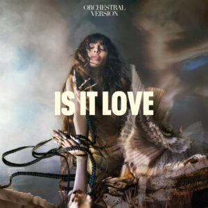 Album cover: Is It Love (Orchestral Version)