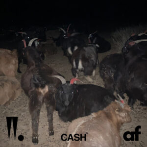 Album cover: CASH