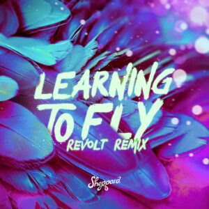 Album cover: Learning To Fly (Revolt Remix)