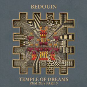 Album cover: Temple Of Dreams (Remixes Part 5)