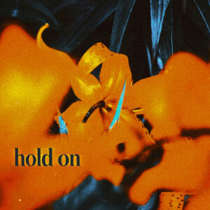 Album cover: Hold On