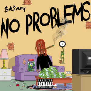 Album cover: No Problems