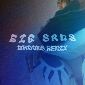 Album cover: BIG SADS (Remix)