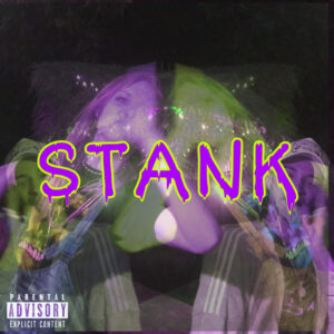 Album cover: Stank