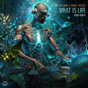 Album cover: What Is Life (Ikøn Remix)