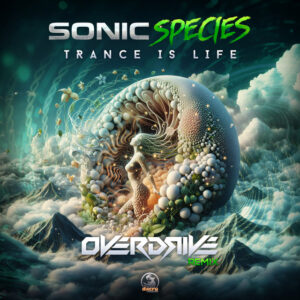 Album cover: Trance Is Life (Overdrive Remix)