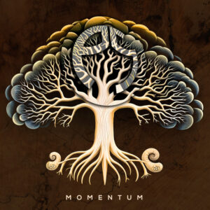 Album cover: Momentum