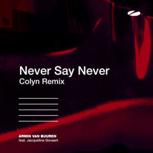 Album cover: Never Say Never (Colyn Remix)