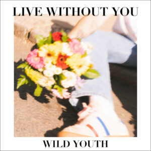 Album cover: Live Without You