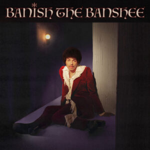 Album cover: Banish The Banshee