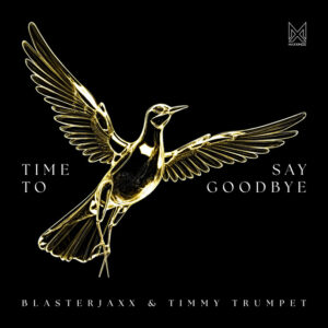 Album cover: Time To Say Goodbye