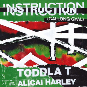 Album cover: Instruction (Gallong Gyal)