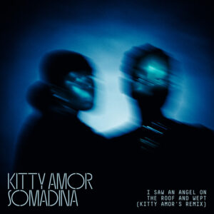 Album cover: I Saw An Angel On The Roof & Wept (Kitty Amor Remixes)