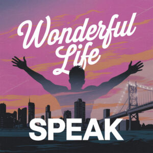 Album cover: Wonderful Life