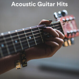 Album cover: Acoustic Guitar Hits