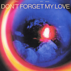 Album cover: Don't Forget My Love