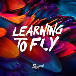 Album cover: Learning To Fly