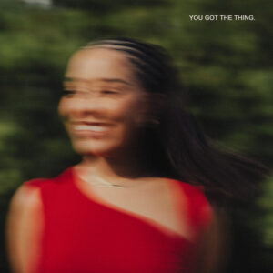 Album cover: You Got The Thing