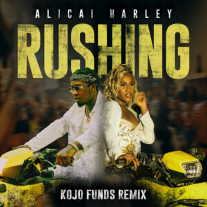 Album cover: Rushing (Kojo Funds Remix)