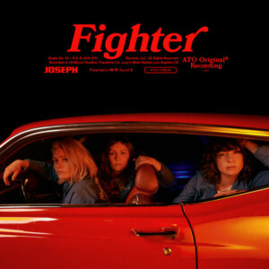 Album cover: Fighter