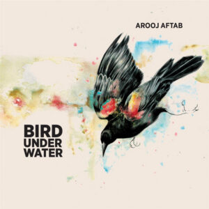 Album cover: Bird Under Water