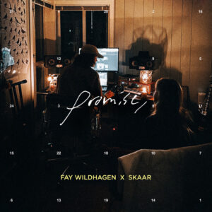 Album cover: promise,