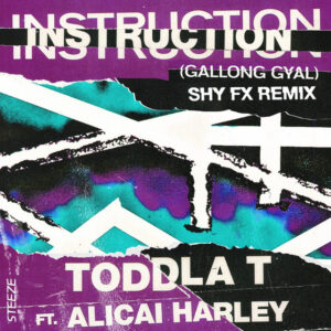 Album cover: Instruction (Gallong Gal) [Shy FX Remix]