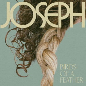 Album cover: Birds of a Feather