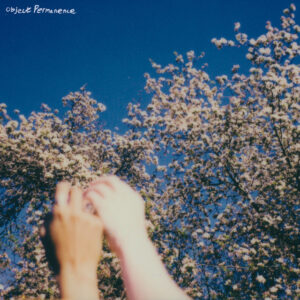 Album cover: Object Permanence