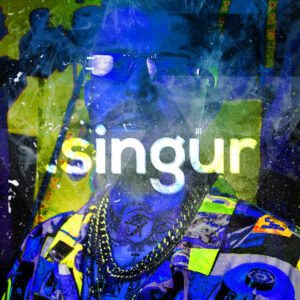 Album cover: Singur